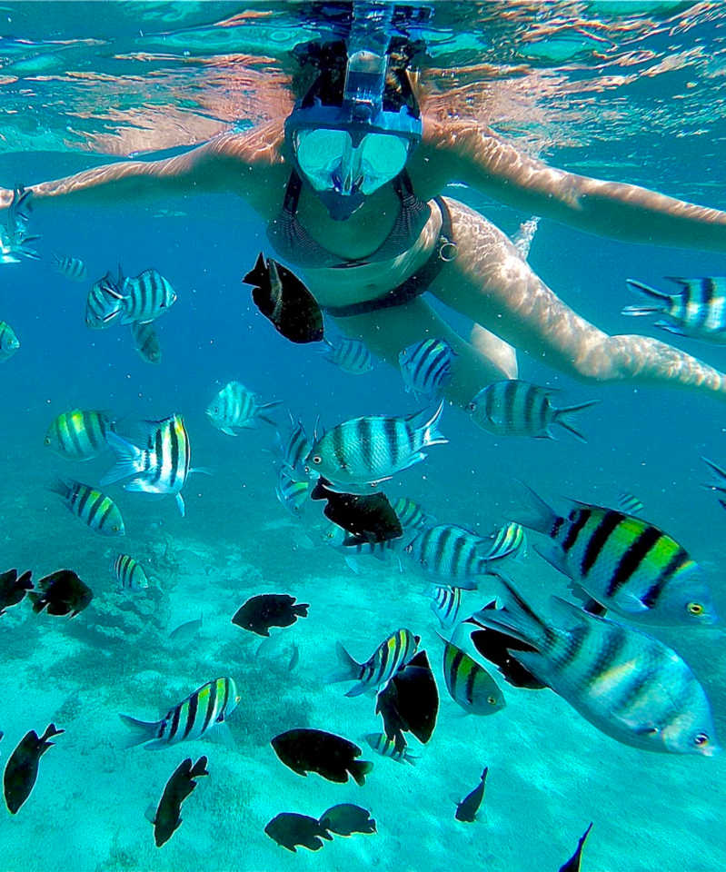 Explore Zanzibar Island Tours Lions Path Expeditions Explore Zanzibar Island Tours Lions Path Expeditions