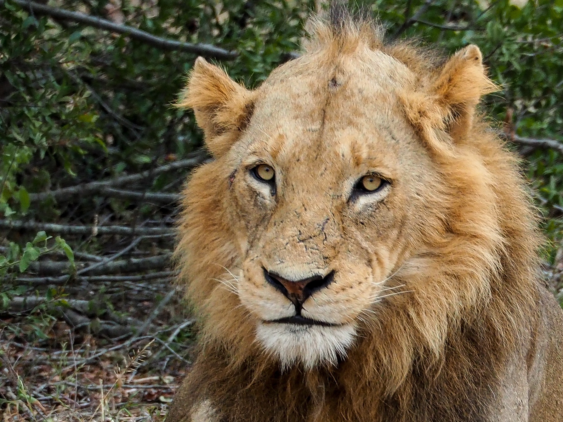 Tanzania Safari Packages