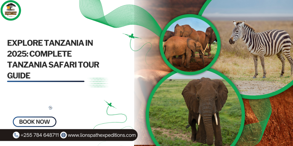 Explore Tanzania In 2025: Complete Tanzania Safari Tour Guide