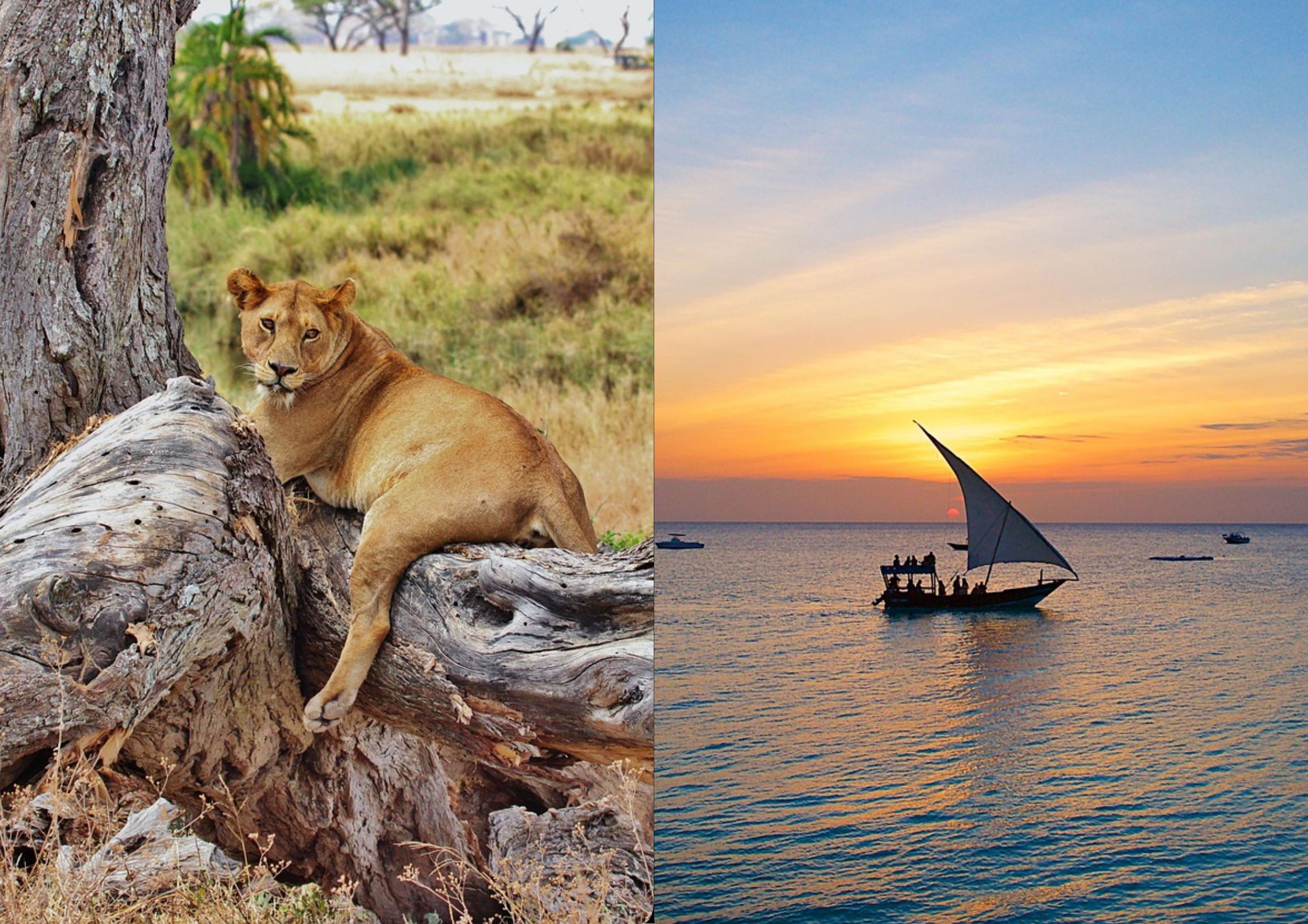 How to Plan a Tanzania Safari and Zanzibar Holiday Together?