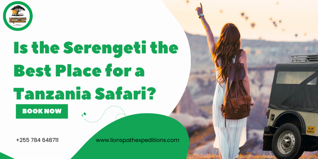 Is the Serengeti the Best Place for a Tanzania Safari