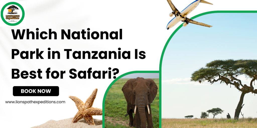 Which National Park in Tanzania Is Best for Safari
