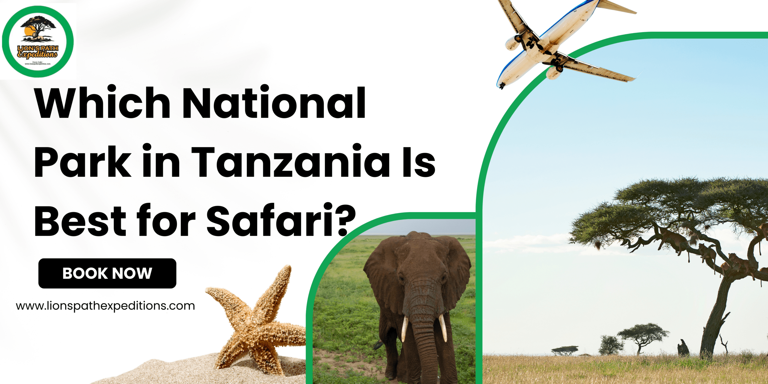 Which National Park in Tanzania Is Best for Safari