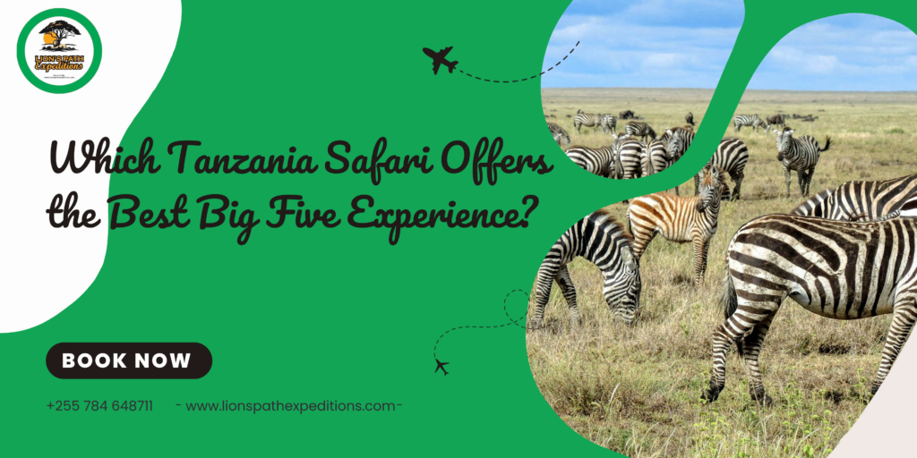 Which Tanzania Safari Offers the Best Big Five Experience