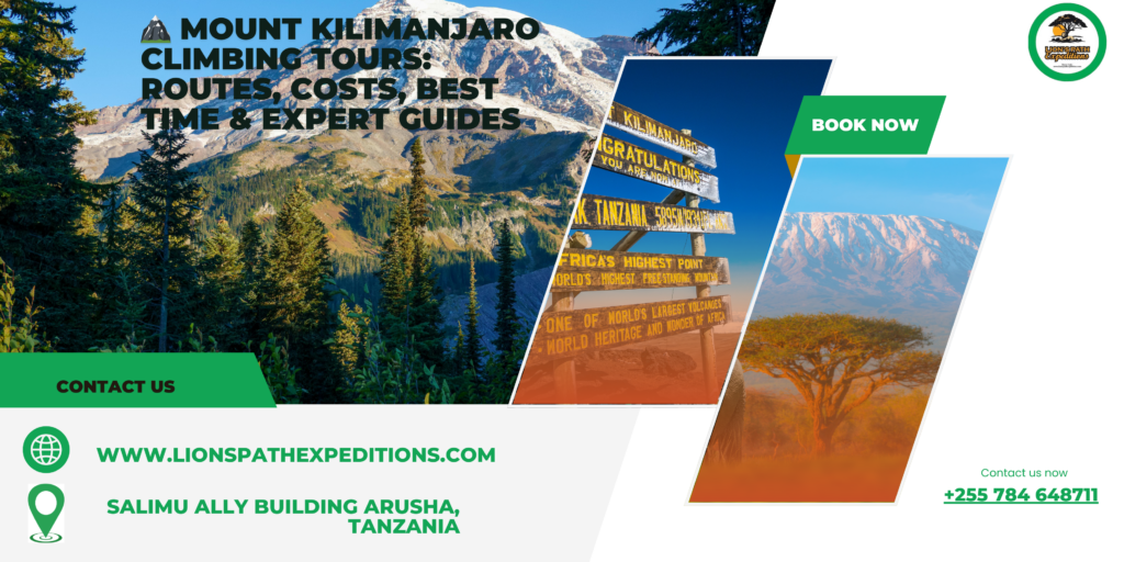 🏔️ Mount Kilimanjaro Climbing Tours Routes, Costs, Best Time & Expert Guides