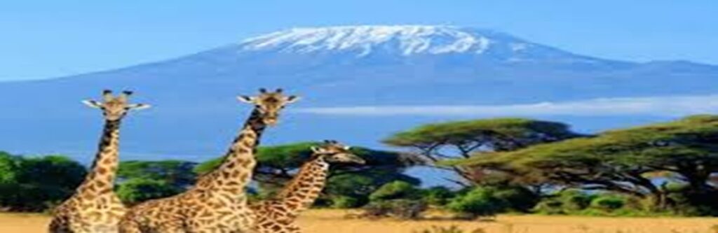 Tanzania Tourism 2026: Africa’s Most Visited Destination