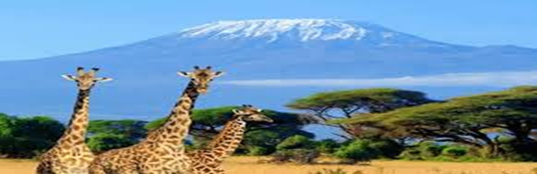 Tanzania Tourism 2026: Africa’s Most Visited Destination